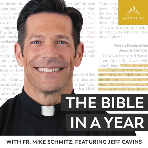 The Bible in a Year cover art
